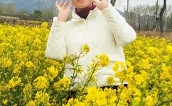 仓井空电影大全百度影音